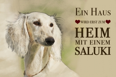 Nostalgieschild - Hundeschild im Retrostil Motiv: Saluki (Persischer Windhund) #4