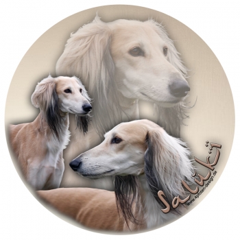 Aufkleber Saluki (Persischer Windhund), rund