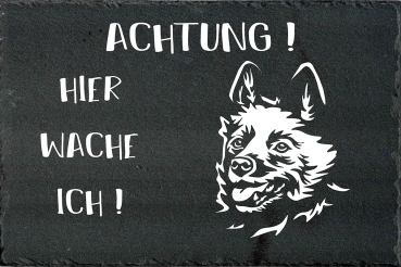 Schieferplatte Schipperke