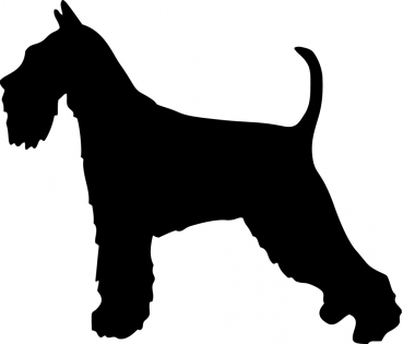 Autoaufkleber Schnauzer stehend Silhouette