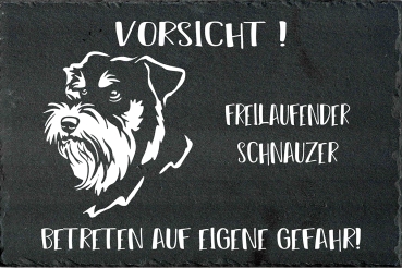 Schieferplatte Schnauzer