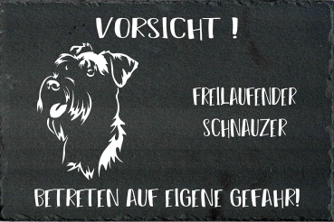 Schieferplatte Schnauzer