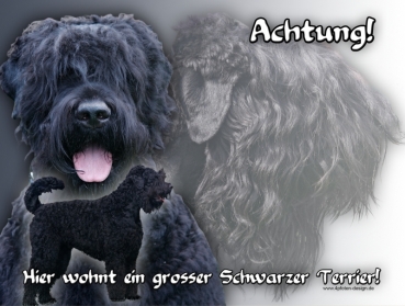 Hundewarnschild Russischer Terrier (Tchiorny Terrier) #1