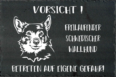 Schieferplatte Schwedischer Wallhund (Westgotenspitz)