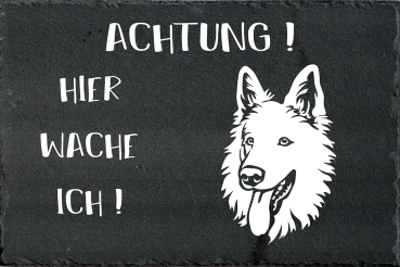 Schieferplatte Schweizer Schäferhund