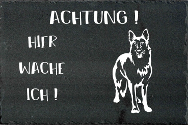 Schieferplatte Schweizer Schäferhund