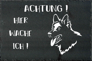 Schieferplatte Schweizer Schäferhund