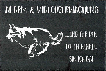 Schieferplatte Schweizer Schäferhund