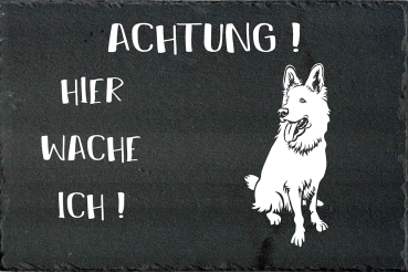 Schieferplatte Schweizer Schäferhund