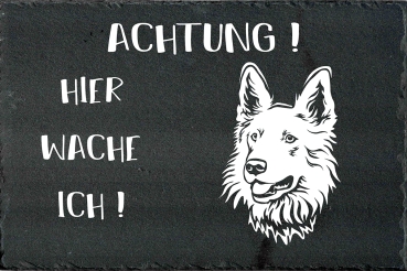 Schieferplatte Schweizer Schäferhund