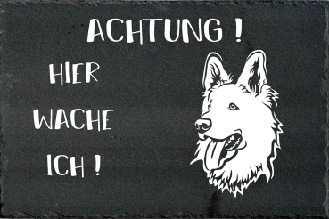 Schieferplatte Schweizer Schäferhund