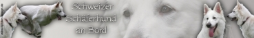 Autoaufkleber Schweizer Schäferhund