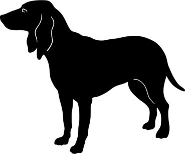 Schwyzer Laufhund stehend Silhouette