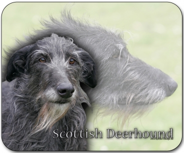 Mousepad Schottischer Hirschhund (Scottish Deerhound) #1