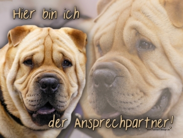 Hundewarnschild Shar-Pei #2