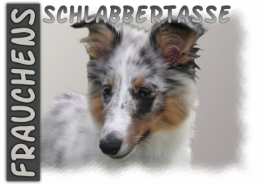 Fototasse Sheltie (Shetland Sheepdog) Herrchen/Frauchen