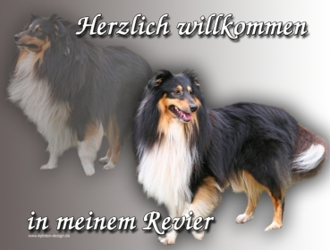 Hundewarnschild Sheltie (Shetland Sheepdog) #4