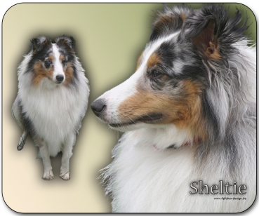 Mousepad Sheltie #4