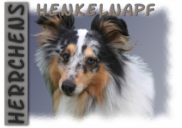 Fototasse Sheltie (Shetland Sheepdog) Herrchen/Frauchen