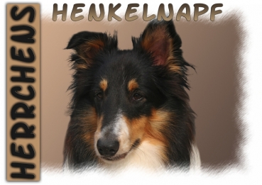 Fototasse Sheltie (Shetland Sheepdog) Herrchen/Frauchen