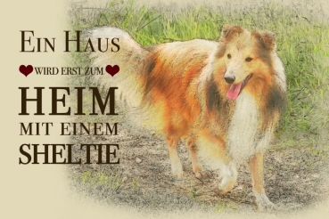 Nostalgieschild - Hundeschild im Retrostil Motiv: Sheltie (Shetland Sheepdog) #1