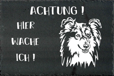 Schieferplatte Sheltie