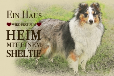 Nostalgieschild - Hundeschild im Retrostil Motiv: Sheltie (Shetland Sheepdog) #2