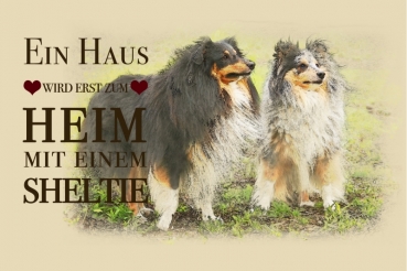 Nostalgieschild - Hundeschild im Retrostil Motiv: Sheltie (Shetland Sheepdog) #4