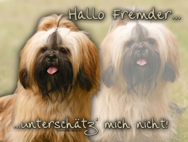 Aluminiumschild shih-tzu