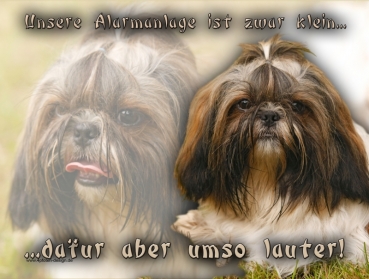 Hundewarnschild Shih-Tzu #2