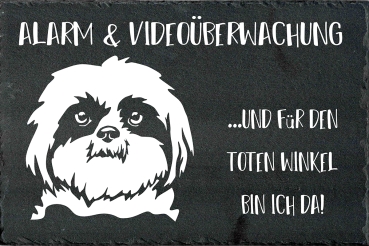 Schieferplatte Shih-Tzu