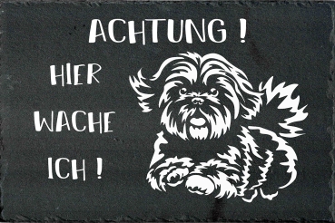 Schieferplatte Shih-Tzu