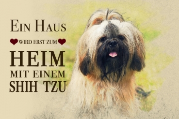 Nostalgieschild - Hundeschild im Retrostil Motiv: Shih-Tzu #1