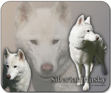 Mousepad Siberian Husky (Sibirischer Husky) #1