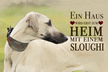 Nostalgieschild - Hundeschild im Retrostil Motiv: Sloughi (Arabischer Windhund) #1