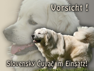 Hundewarnschild Slovenský Cuvac (Slowakischer Hirtenhund) #1