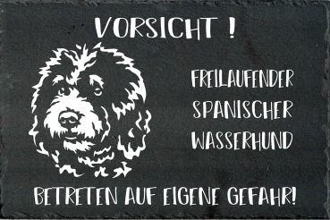 Schieferplatte Spanischer Wasserhund