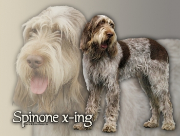 Hundewarnschild Spinone Italiano #1