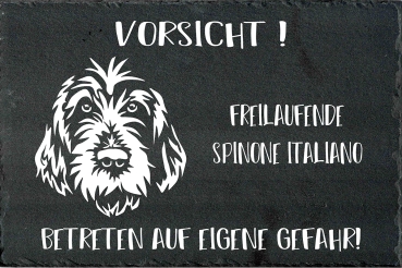 Schieferplatte Spinone Italiano