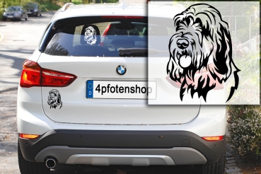 Autoaufkleber "Spinone Italiano" Kopf