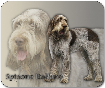 Mousepad Spinone Italiano #1