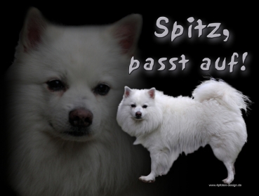 Hundewarnschild Deutscher Spitz (Kleinspitz) #1