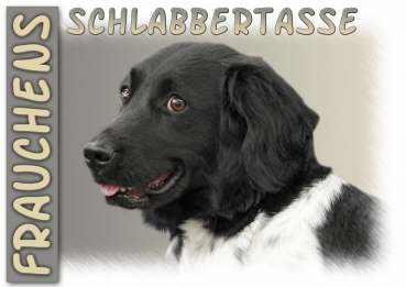 Fototasse Stabyhoun (Friesischer Vorstehhund) Herrchen/Frauchen