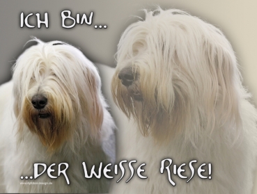 Hundewarnschild Südrussischer Owtscharka #1