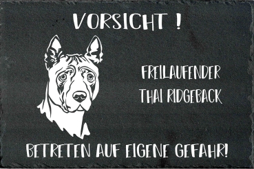 Schieferplatte Thai Ridgeback