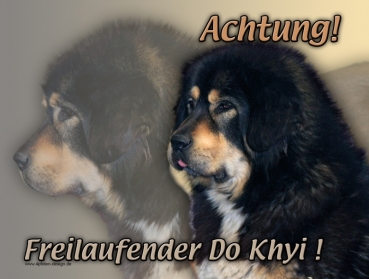 Hundewarnschild Tibetdogge (Do Khiy) #1