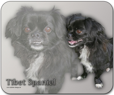 Mousepad Tibet Spaniel #1