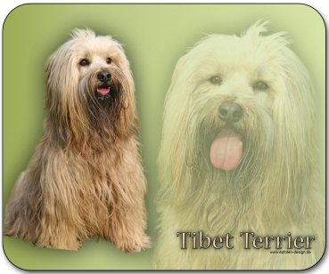 Mousepad Tibet Terrier #1