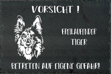 Schieferplatte Tiger