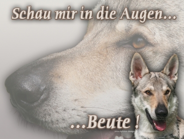 Hundewarnschild Tschechoslowakischer Wolfhund #1